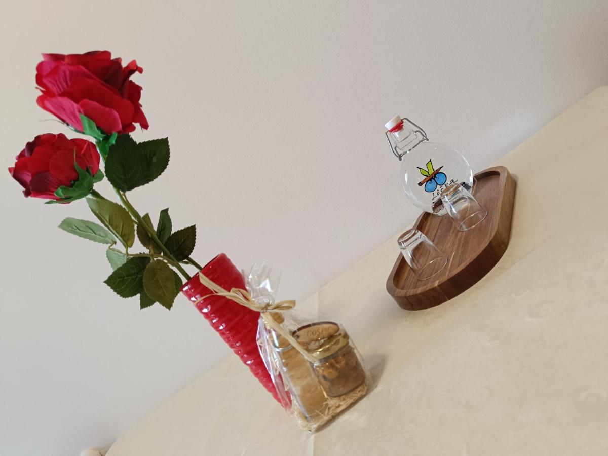 Apartman Ante Gospić Екстериор снимка